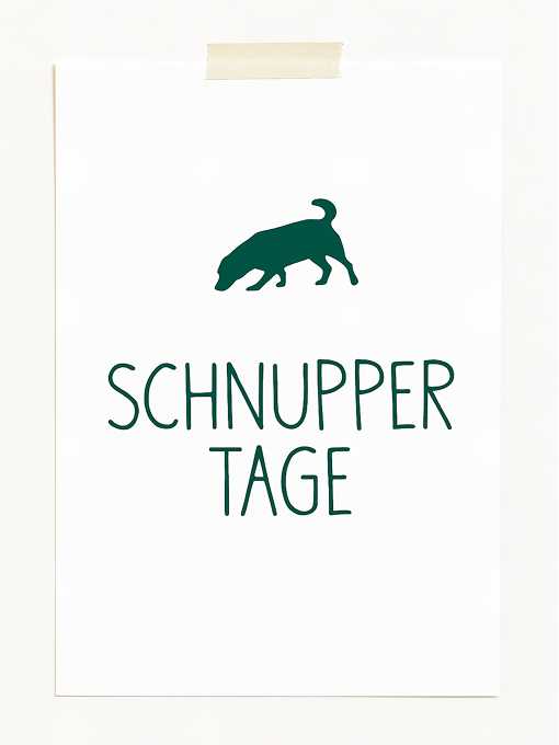 Schnuppertage