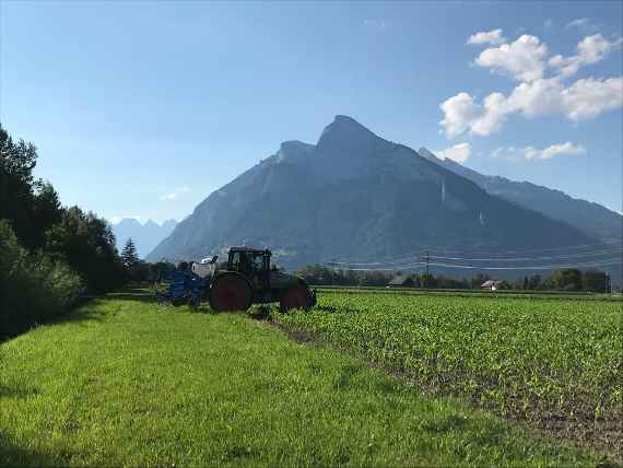 landschaft mit berg in sargans im rheintal in der schweiz im kanton sankt gallen
