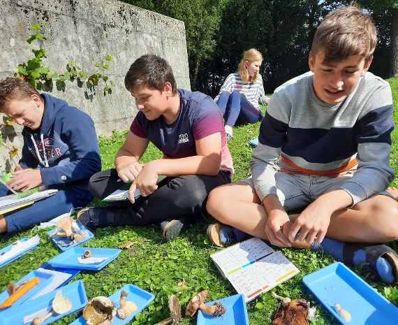 schuelerinnen und schueler beim bestimmen von pilzarten