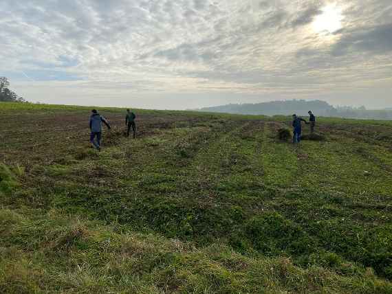 schuelerinnen und schueler bei der feldarbeit