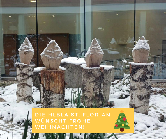 frohe weihnachten