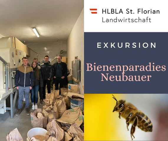 exkursion bienenparadies neubauer