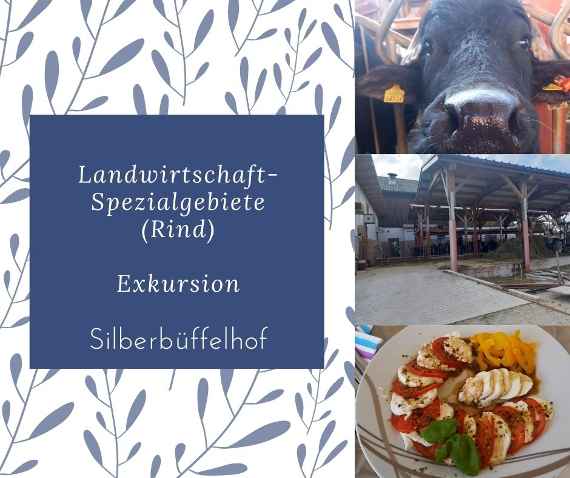 landwirtschaft-spezialgebiete zum bereich rind