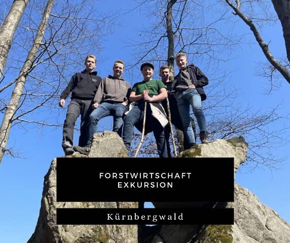 kuernbergwald