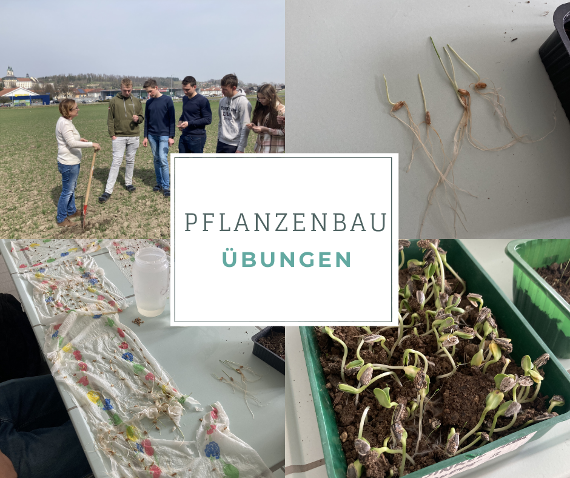 pflanzenbau-uebungen