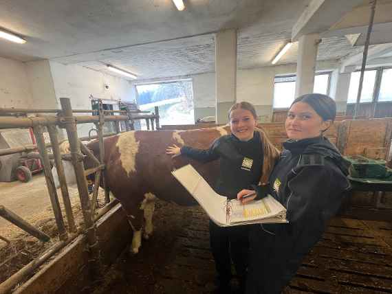 schuelerinnen der 2. klasse im stall in elmberg