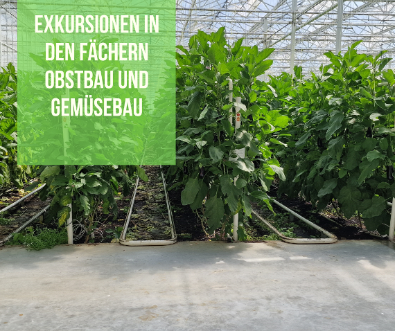 exkursionen in gemuesebau und obstbau