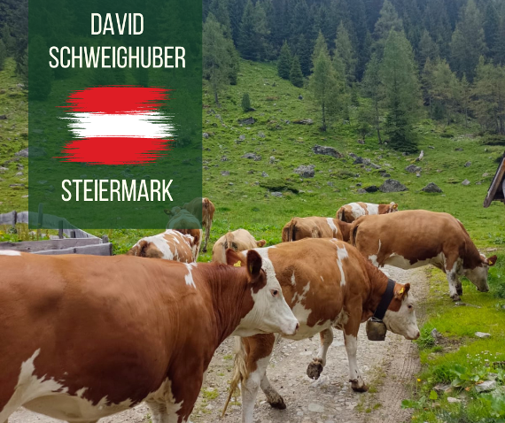 steiermark