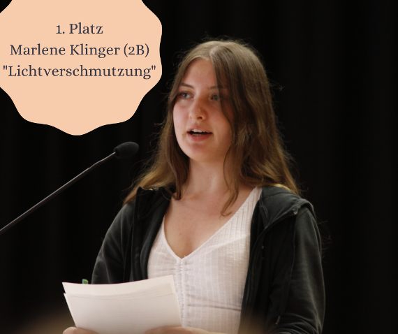 erster platz marlene klinger aus der 2b zum thema lichtverschmutzung