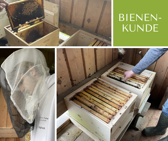 bienenkunde