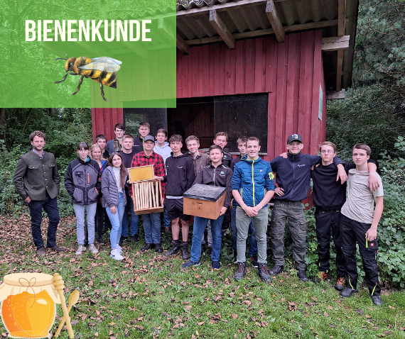 bienenkunde