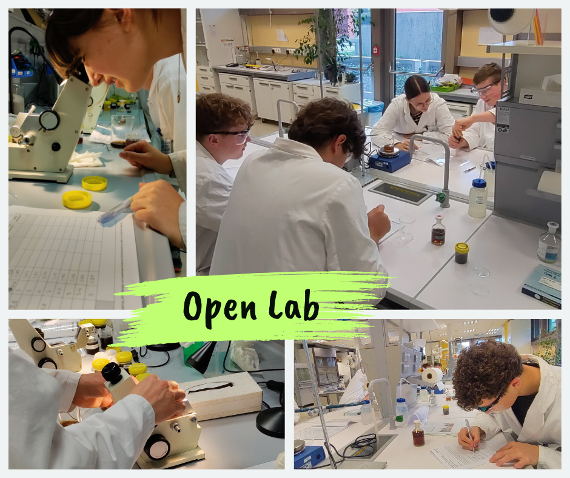 open lab der jku linz