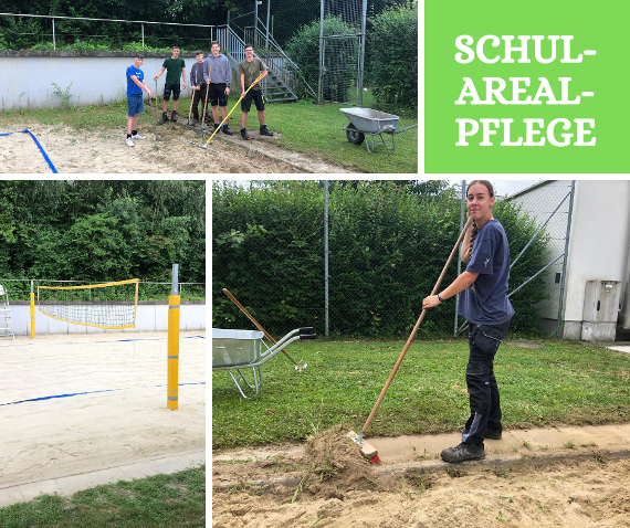 schularealpflege