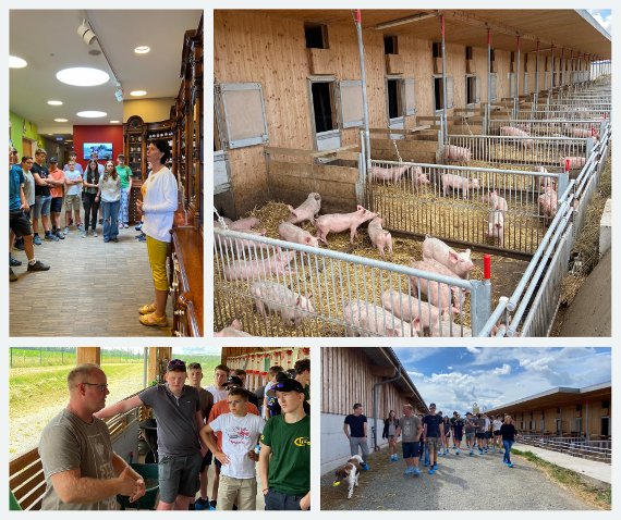 exkursion sonnentor und bio-schweinebetrieb