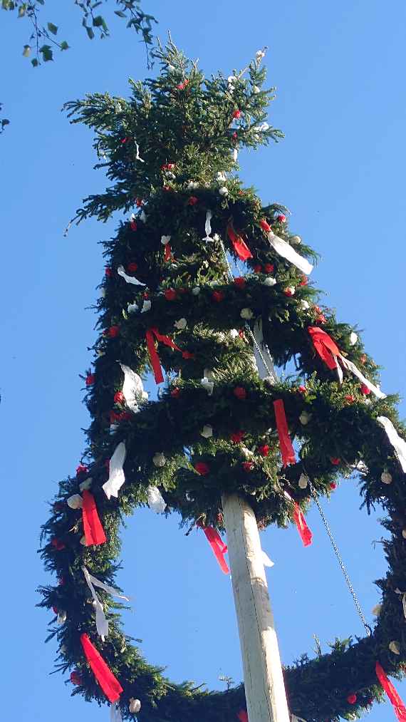 maibaum der hlbla sankt florian