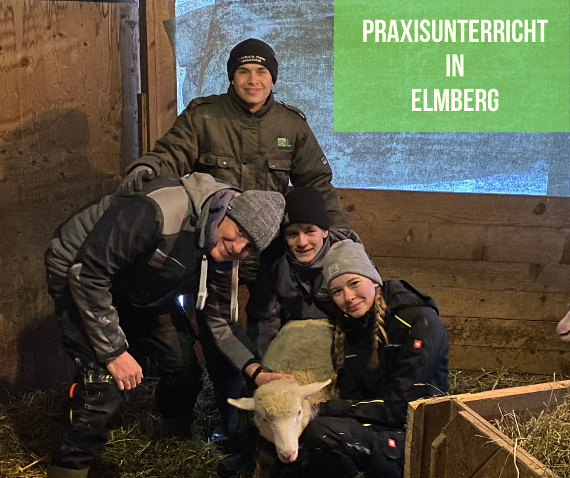 praxisunterricht in elmberg