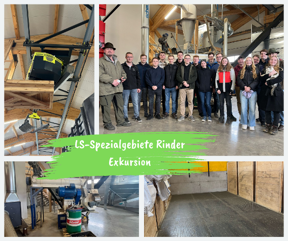 exkursion ls-spezialgebiete-rinder