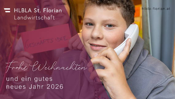 Weihnachtsgrüße 2025