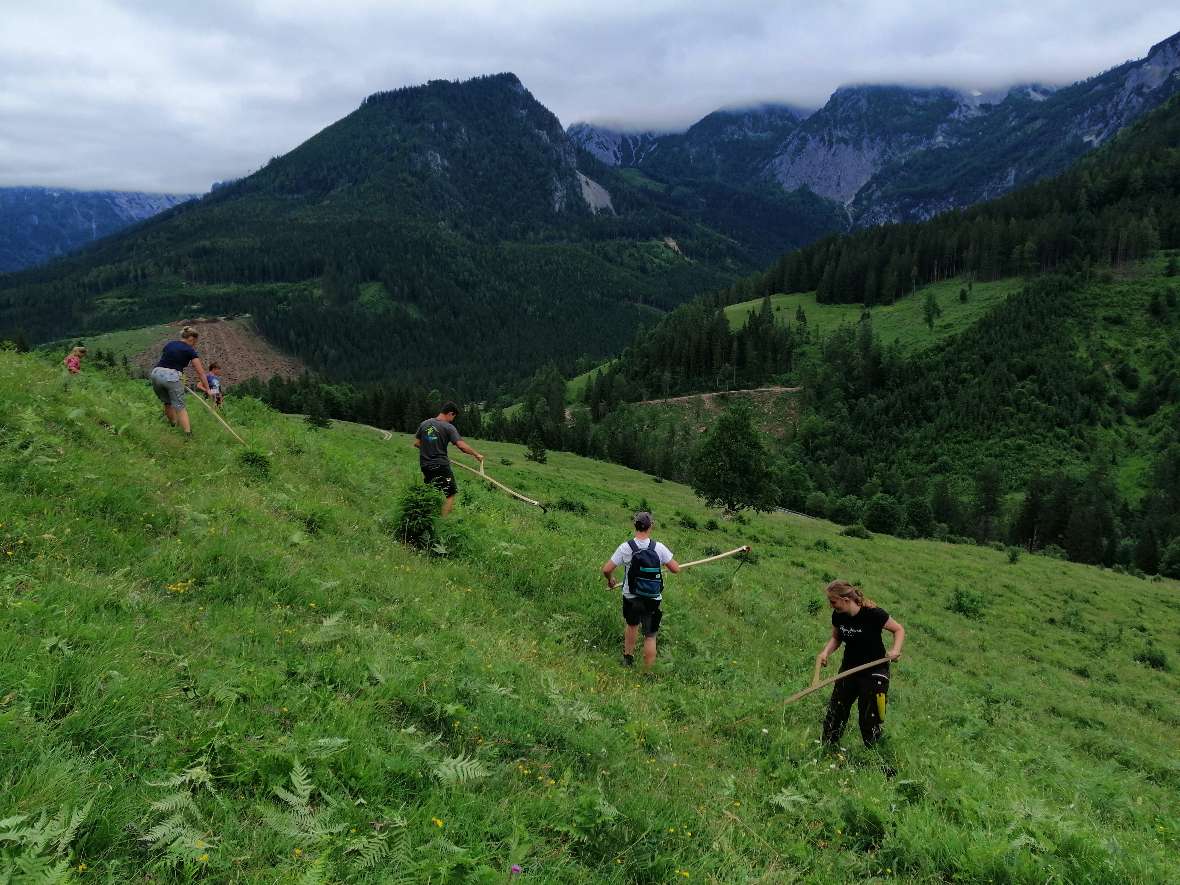 praxistag auf der puglalm