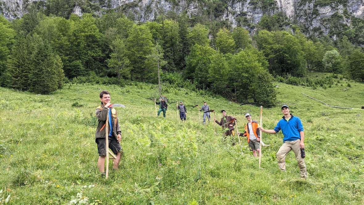 schuelerinnen und schueler beim sensen auf der puglalm