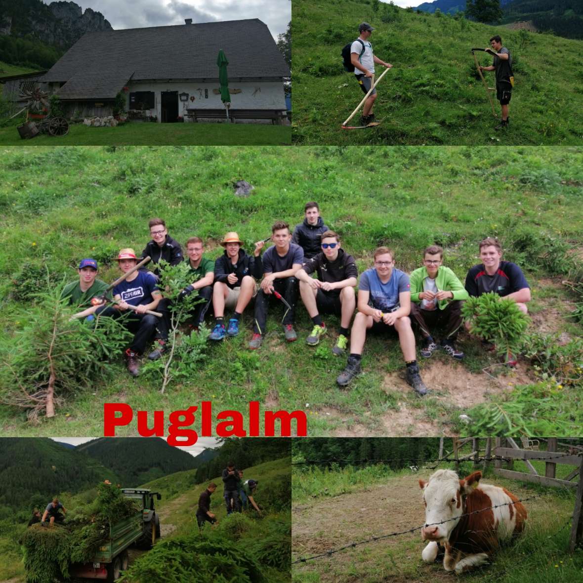 praxistag auf der puglalm