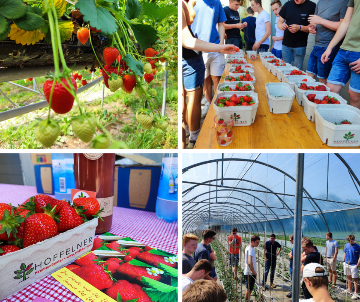 exkursion im fach obstbau