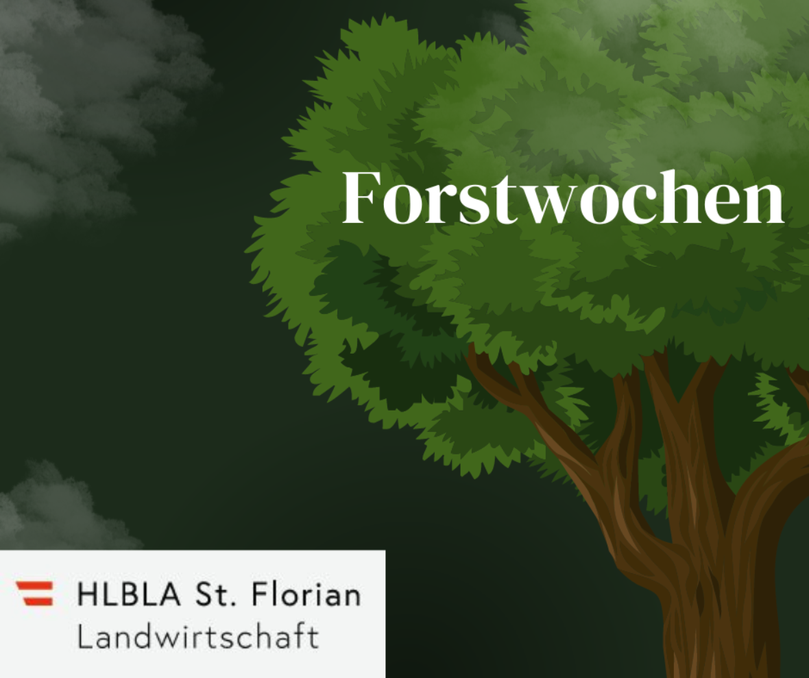 forstwochen