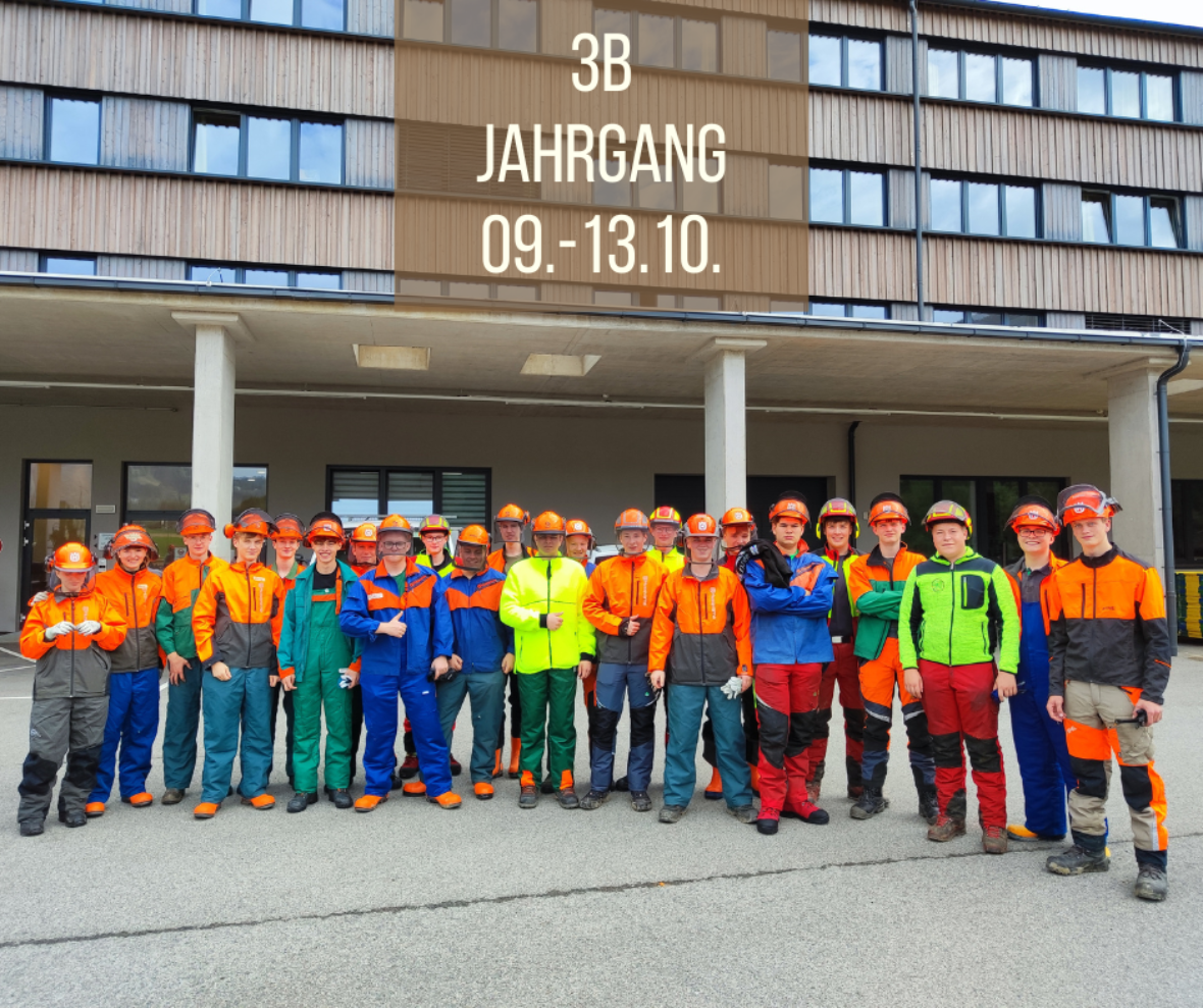 3b-jahrgang