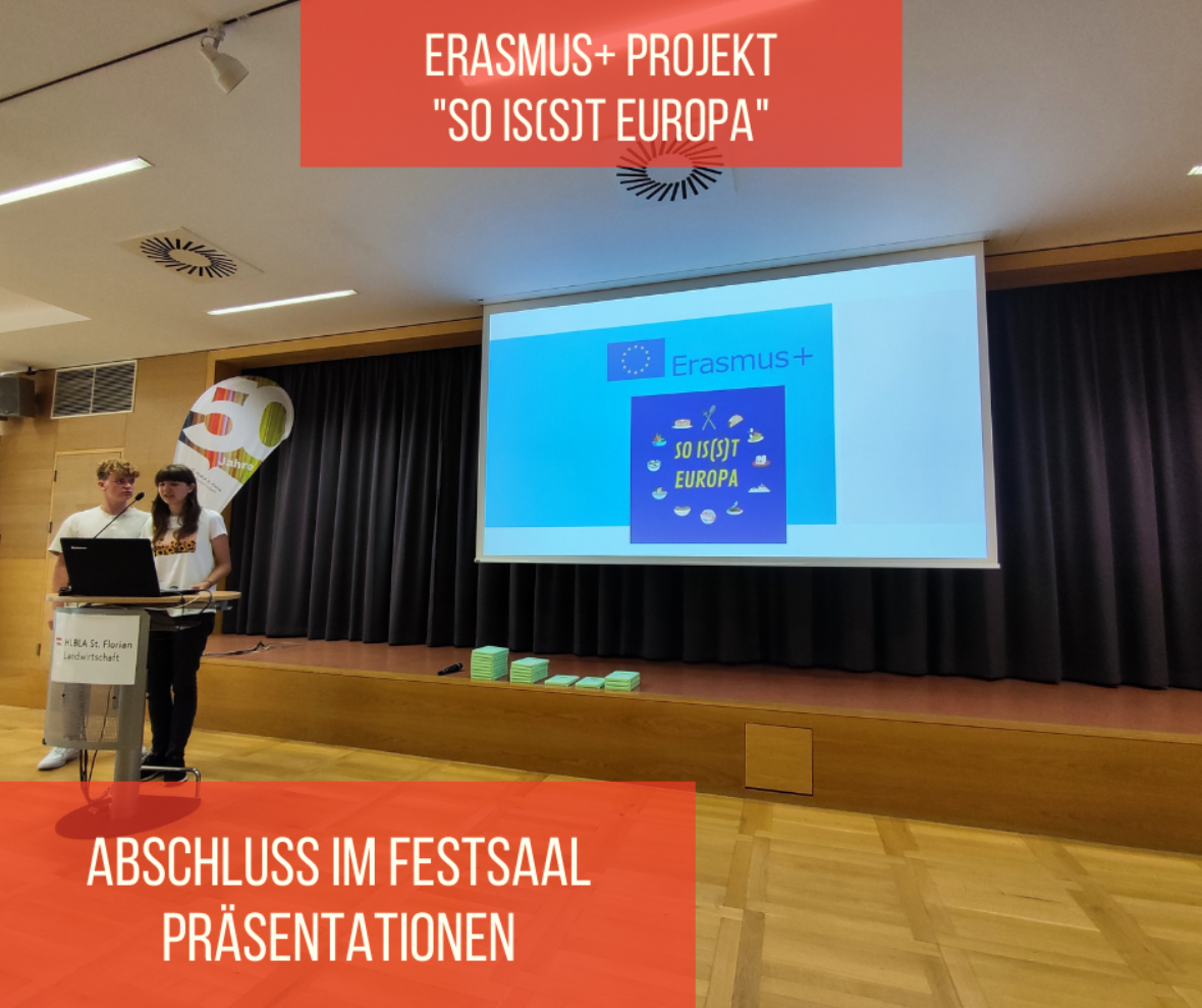 erasmus+ projekt