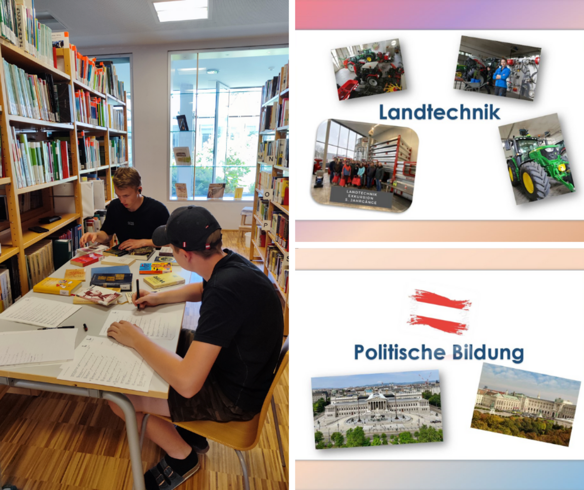 bibliothek-verschoenerung