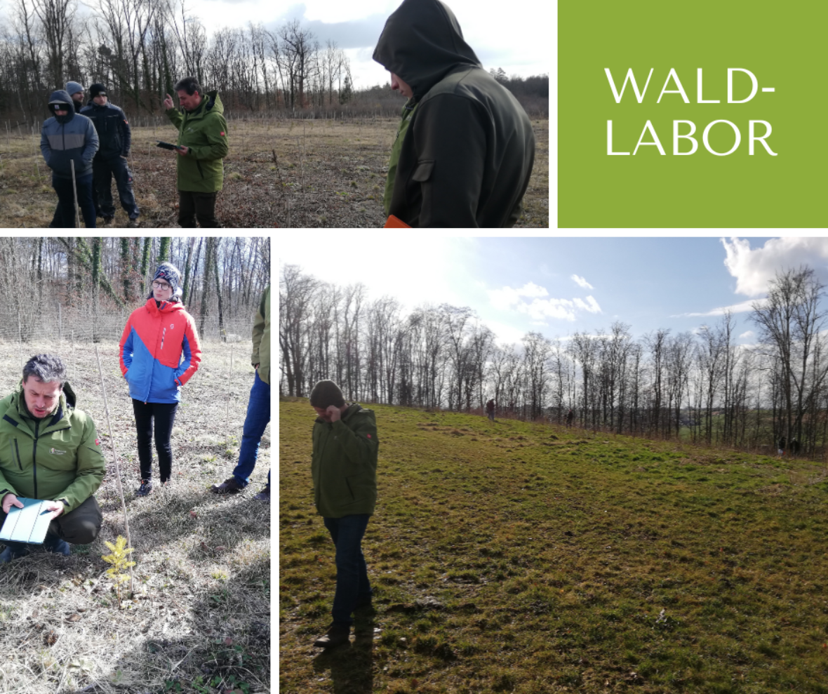 waldlabor