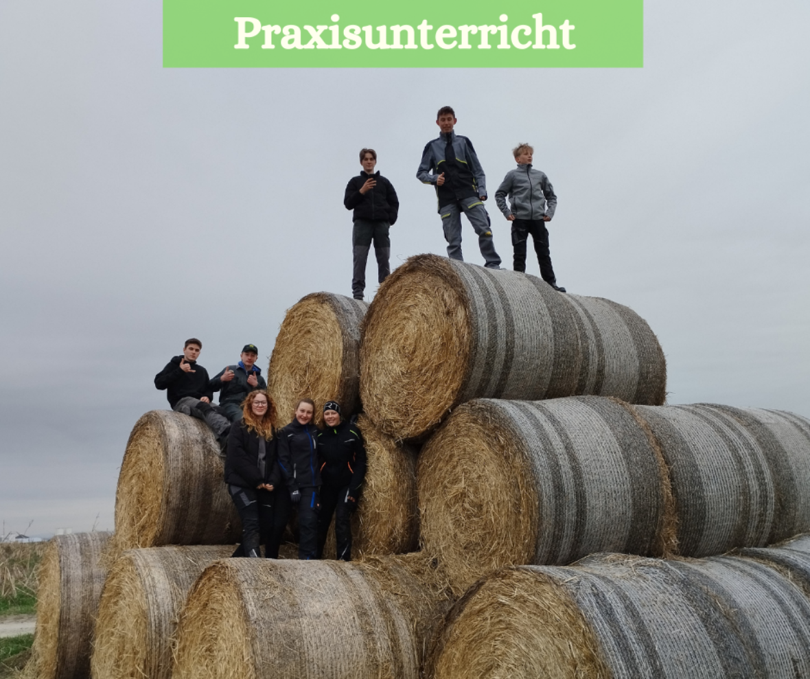 praxisunterricht