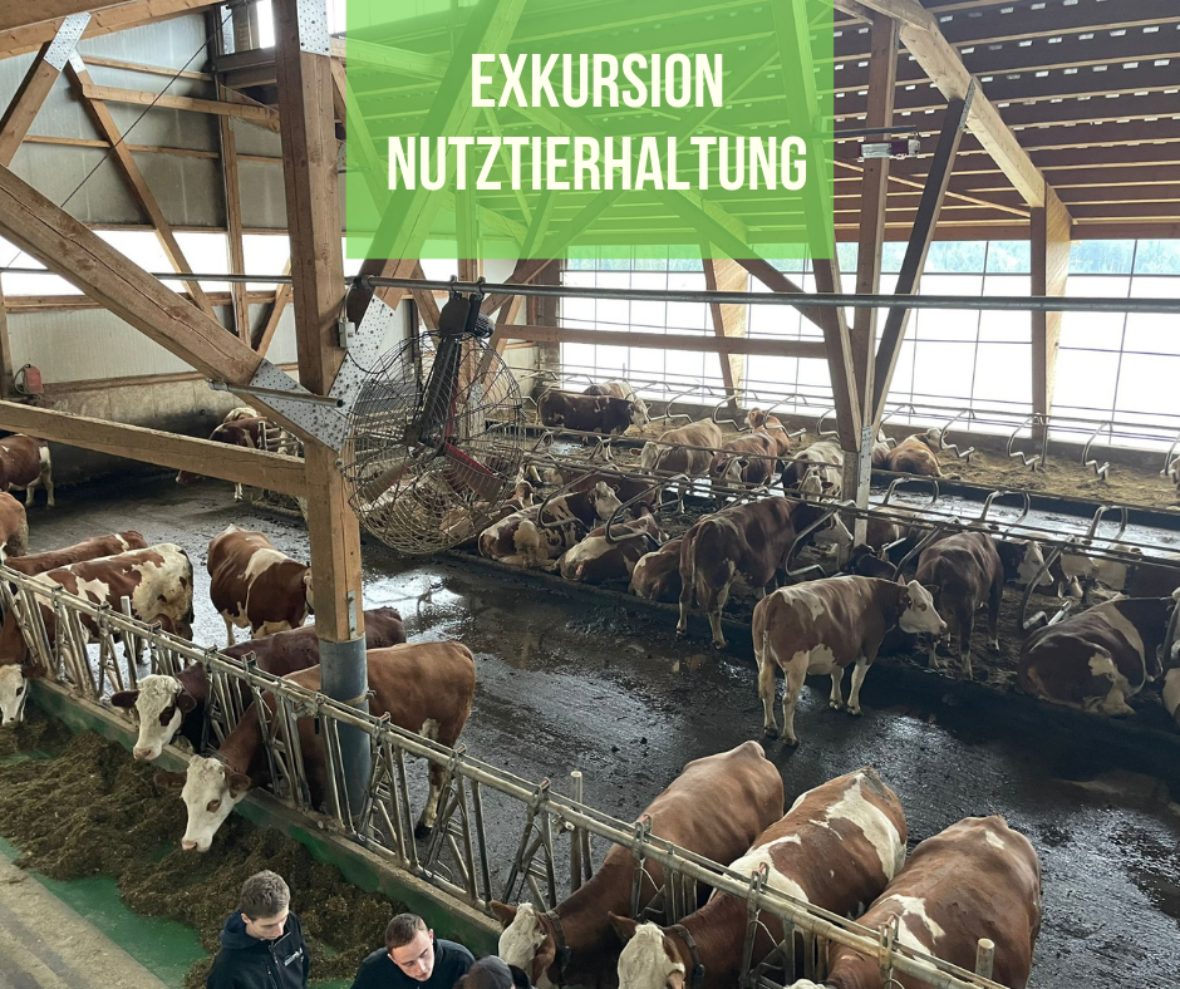 exkursion nutztierhaltung